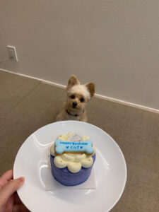 ３歳のお誕生日ケーキ